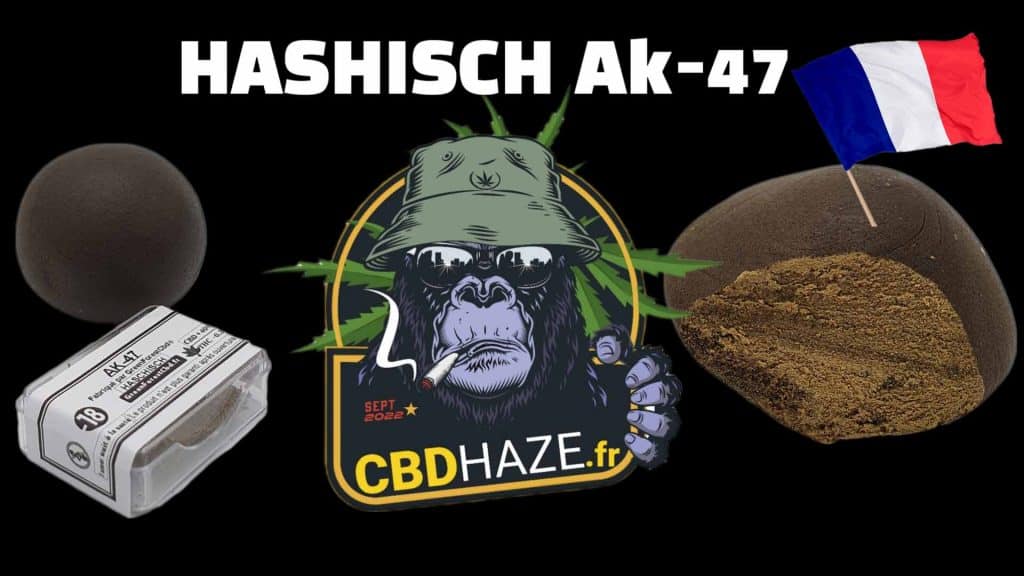Haschisch ou résine ak-47 de cannabis sativa L CBD. Hash disponible sur cbd Haze® Fabriqué par Green Forest Cbd® en France