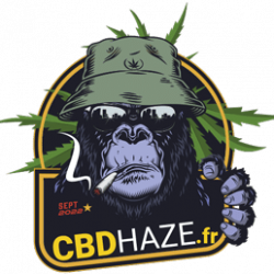 CBDHaze-logo-one